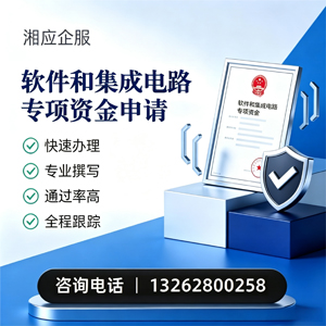 宁夏软件和集成电路专项资金申报服务