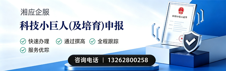 宁夏科技小巨人及培育企业申报服务