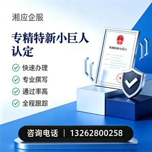 宁夏专精特新小巨人申报服务