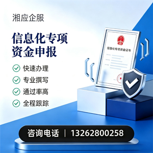 宁夏信息化专项资金申报服务