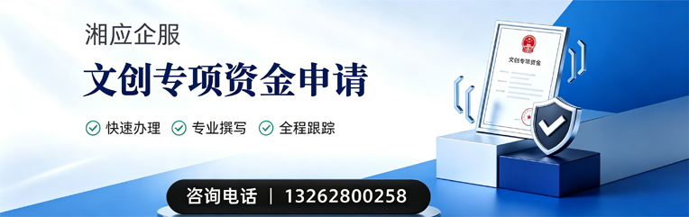 宁夏文创专项资金申报服务