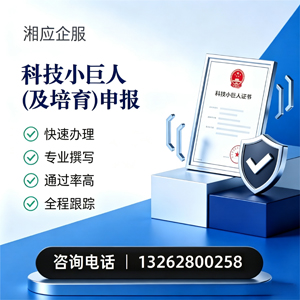 宁夏科技小巨人及培育企业申报服务