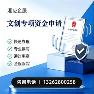 宁夏文创专项资金申报服务