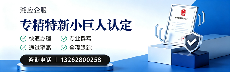 宁夏专精特新小巨人申报服务